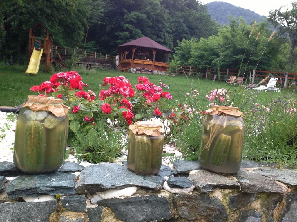 Gasthaus Maria Borlova Luaran gambar