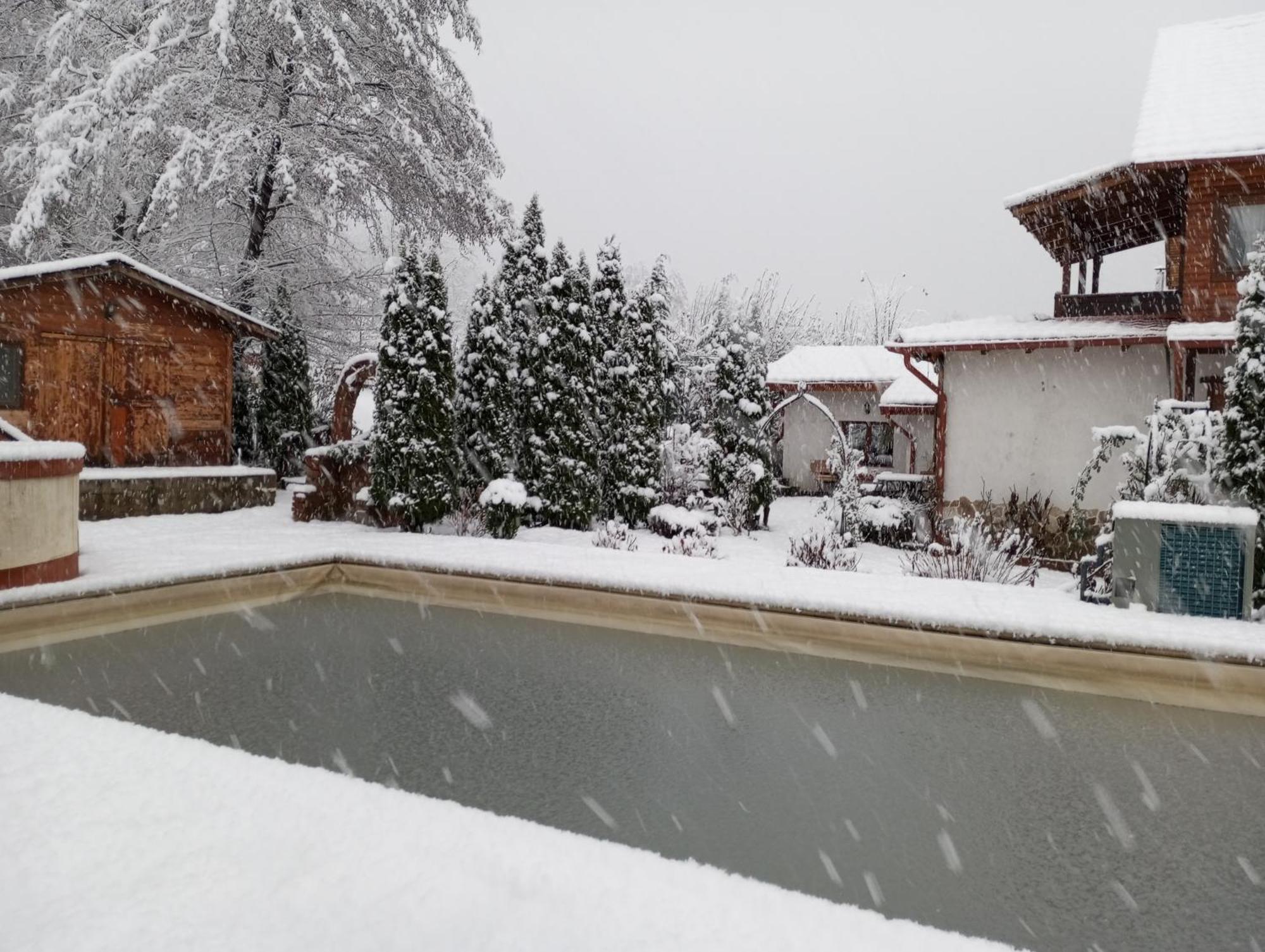 Gasthaus Maria Borlova Luaran gambar