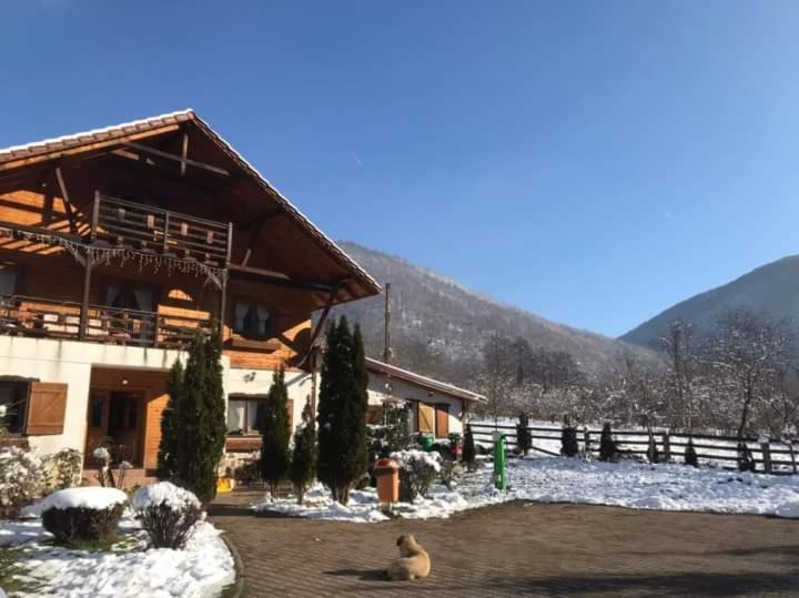 Gasthaus Maria Borlova Luaran gambar