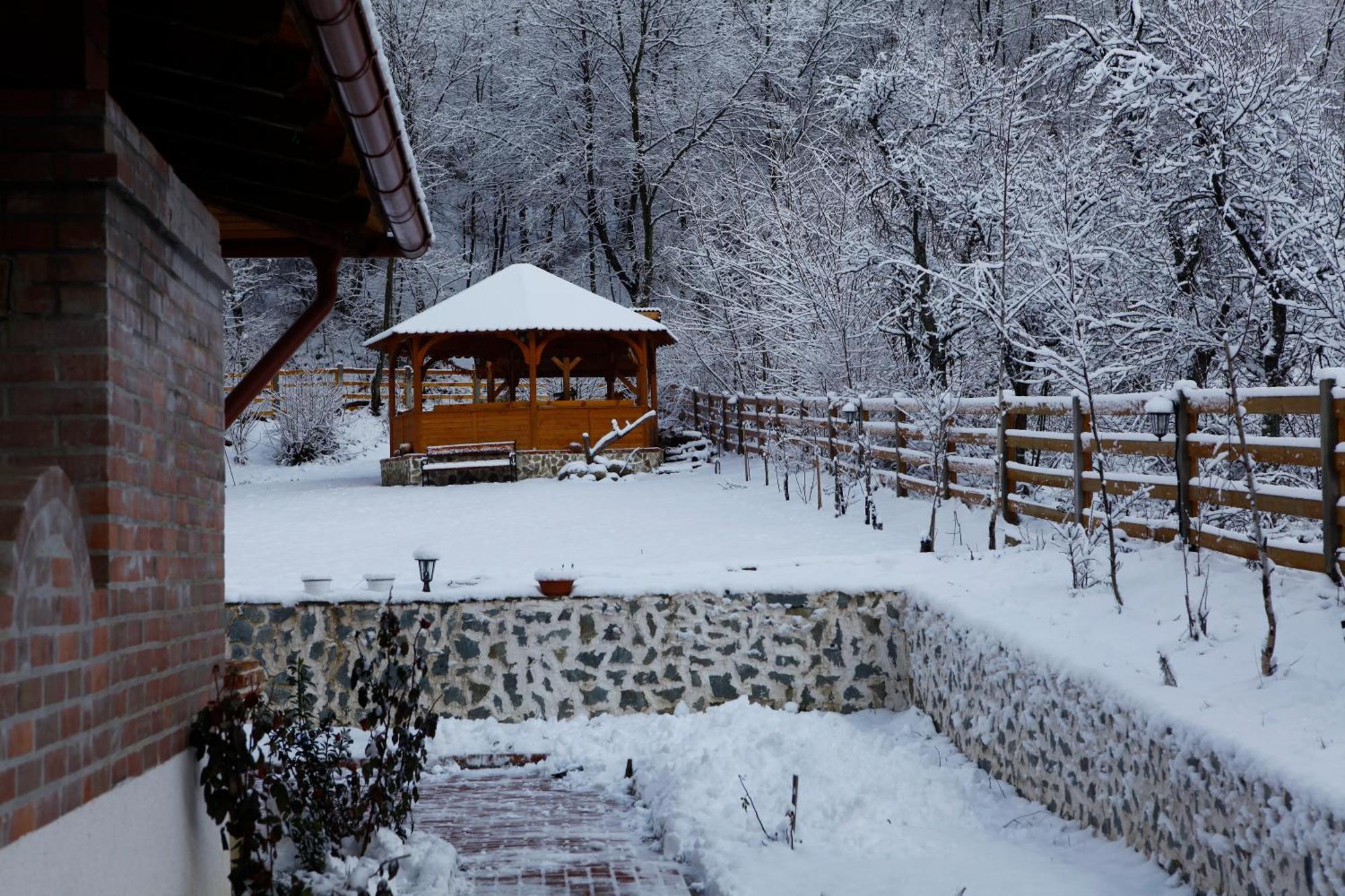 Gasthaus Maria Borlova Luaran gambar