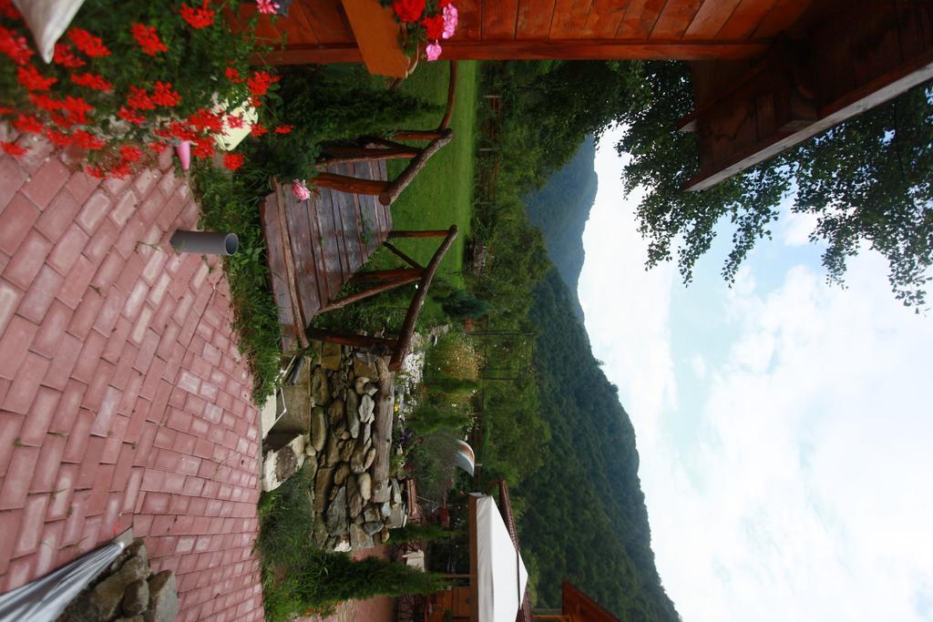 Gasthaus Maria Borlova Luaran gambar