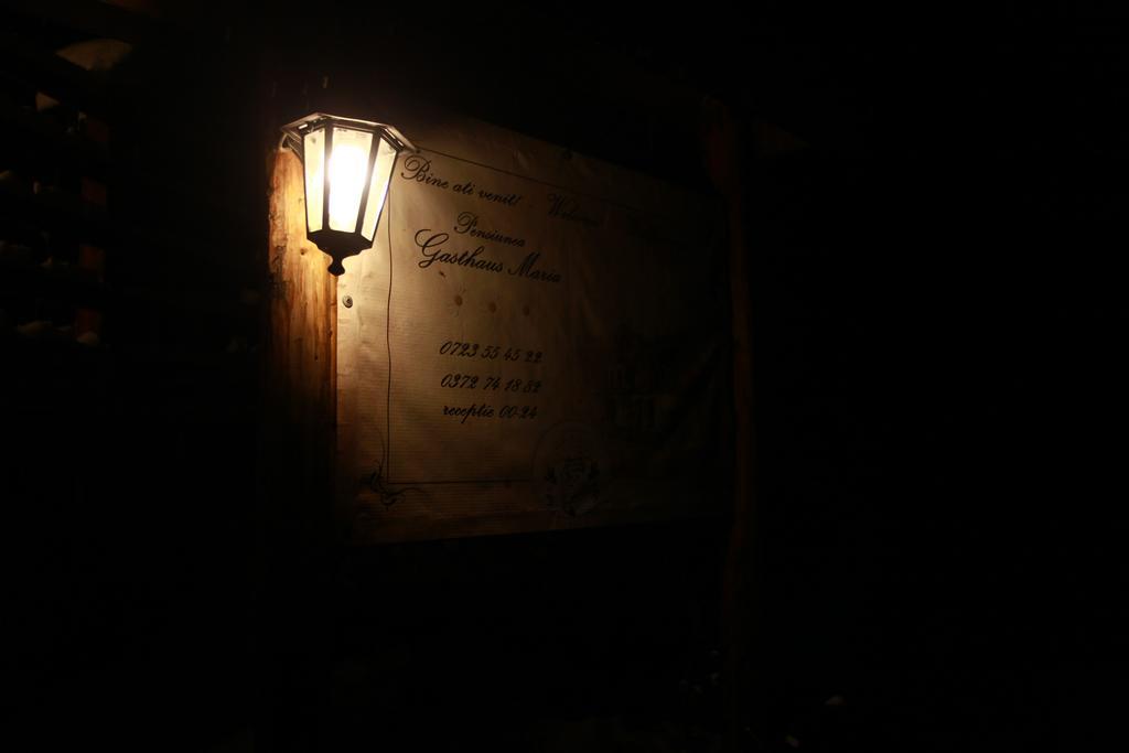 Gasthaus Maria Borlova Luaran gambar
