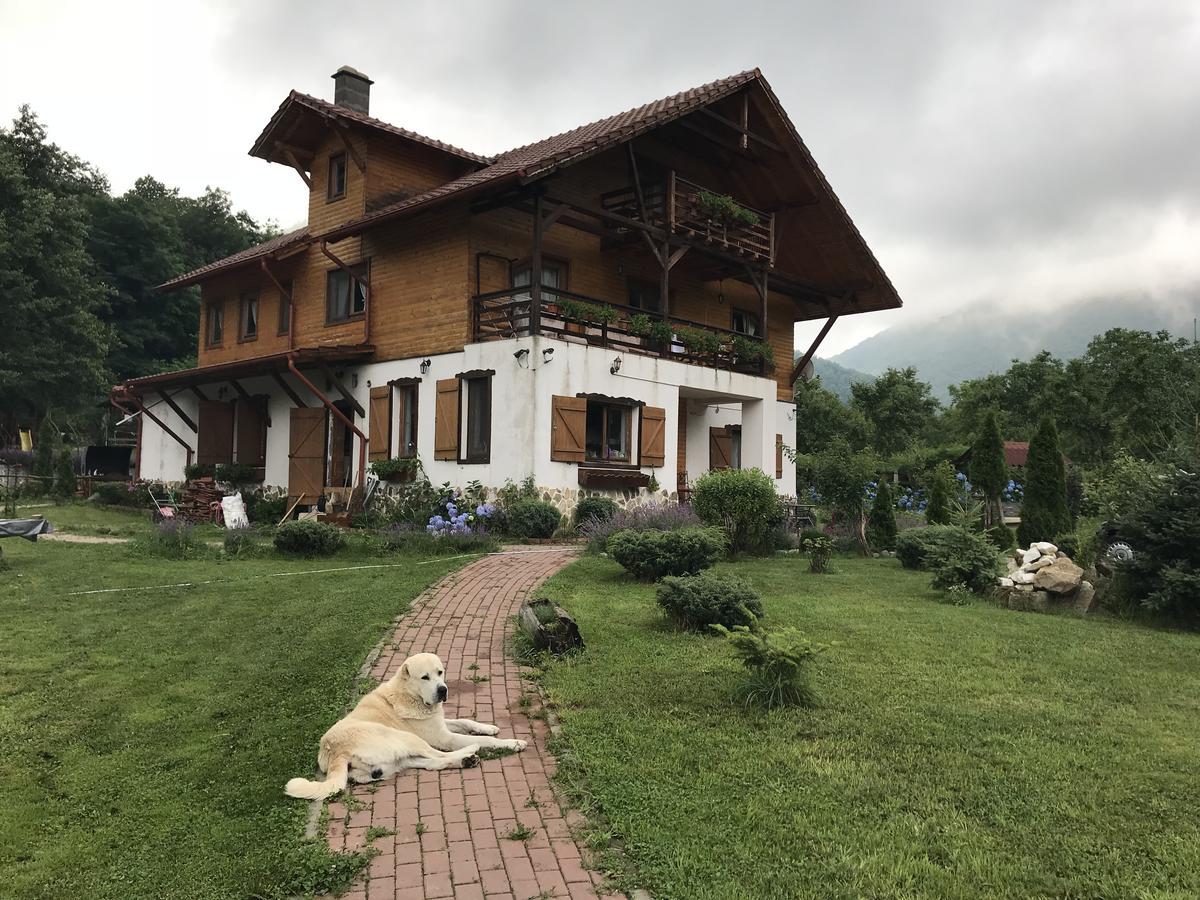 Gasthaus Maria Borlova Luaran gambar